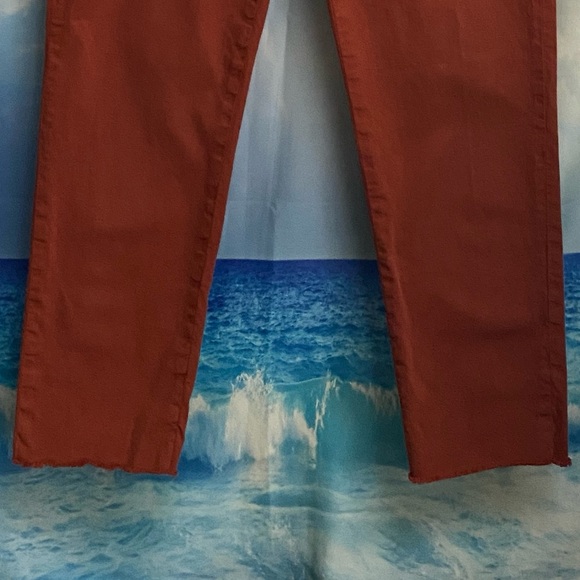 Frank & Eileen WICKLOW The Italian Chino Italian Performance Twill Size: 4 RUST - Picture 6 of 15